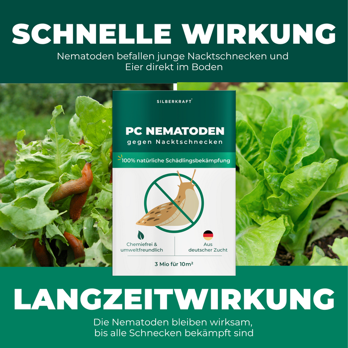 PC Nematoden gegen Nacktschnecken und Schnecken - Silberkraft