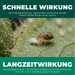Schnelle und langfristige Wirkung der Raubmilbe Amblyseius swirskii gegen Weiße Fliege-Larven
