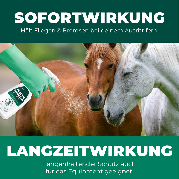 Silberkraft Bremsenspray mit Text, der die sofortige und langanhaltende Wirkung des Produkts anpreist.