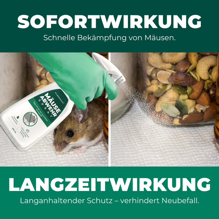 Bild zeigt eine Maus vor einem Vorratsglas mit Nüssen. Ein behandschuhter Hand sprüht das Produkt. Es wird betont, dass das Spray eine schnelle und langanhaltende Wirkung hat.