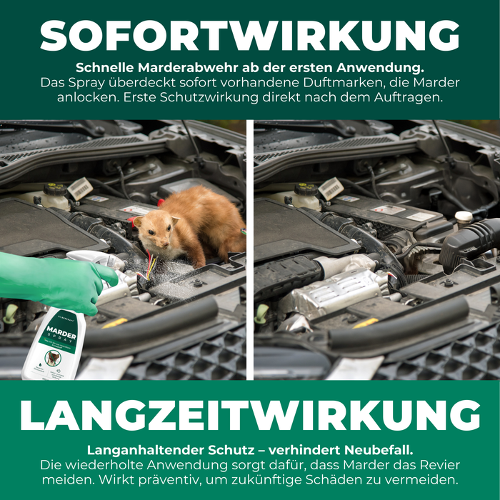 Silberkraft Marderspray – Sofortige Marderabwehr nach der ersten Anwendung. Langzeitschutz verhindert Neubefall durch Überdeckung von Duftmarken.