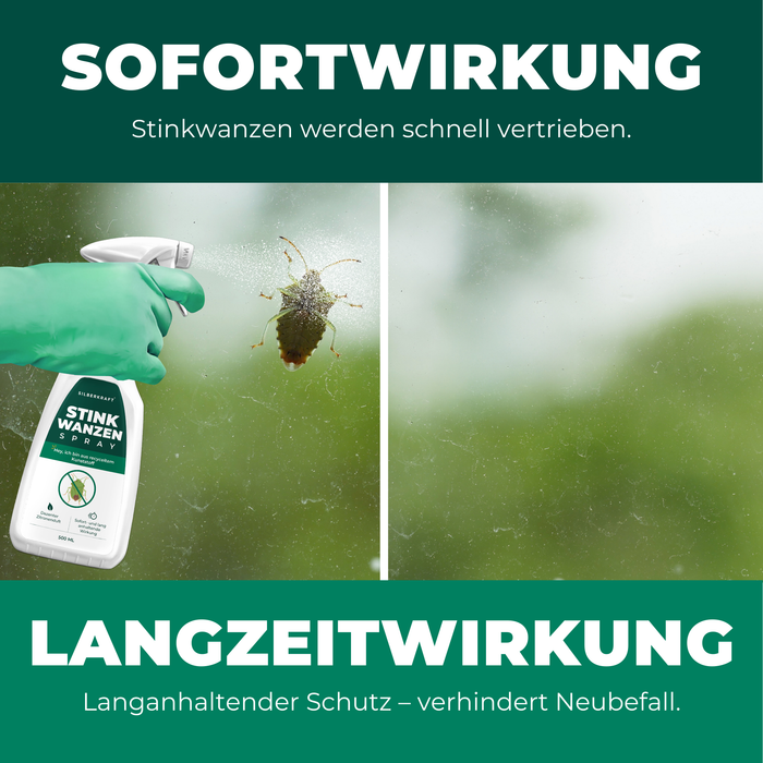 Silberkraft Stinkwanzenspray mit Text, der die sofortige und langanhaltende Wirkung des Produkts gegen Stinkwanzen anpreist.