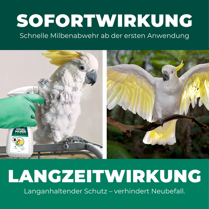 Sofort- und Langzeitwirkung eines Milbensprays für Vögel: Links – ein weißer Kakadu wird mit einem Milbenmittel eingesprüht, eine Hand mit grünem Handschuh hält die Sprühflasche. Rechts – gesunder Kakadu mit ausgebreiteten Flügeln sitzt auf einem Ast. Text betont schnelle Milbenabwehr ab der ersten Anwendung und langanhaltenden Schutz gegen Neubefall.