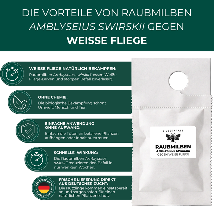 Vorteile der Raubmilben Amblyseius swirskii gegen Weiße Fliege im Überblick
