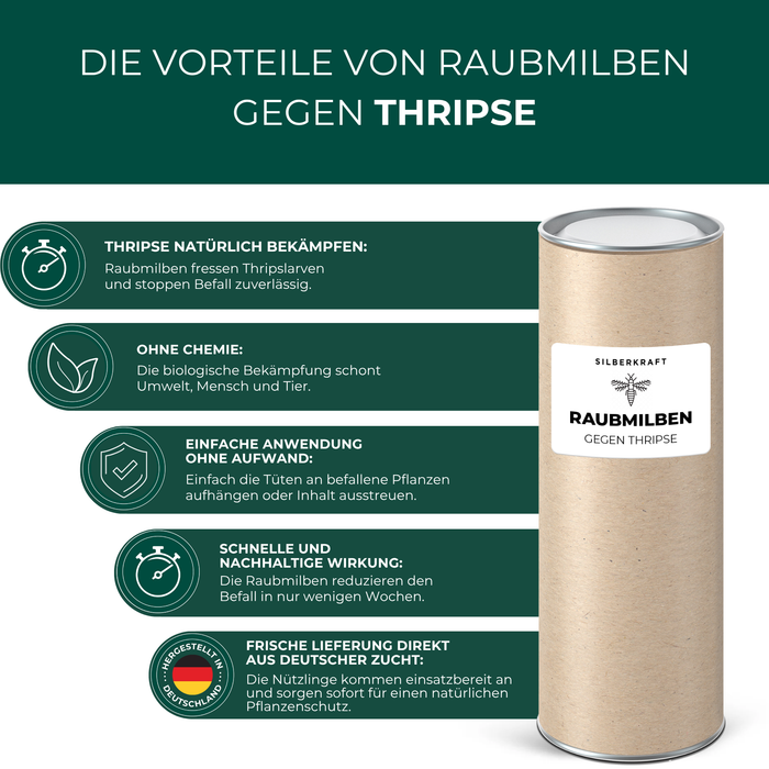 Raubmilben gegen Thripse - Silberkraft
