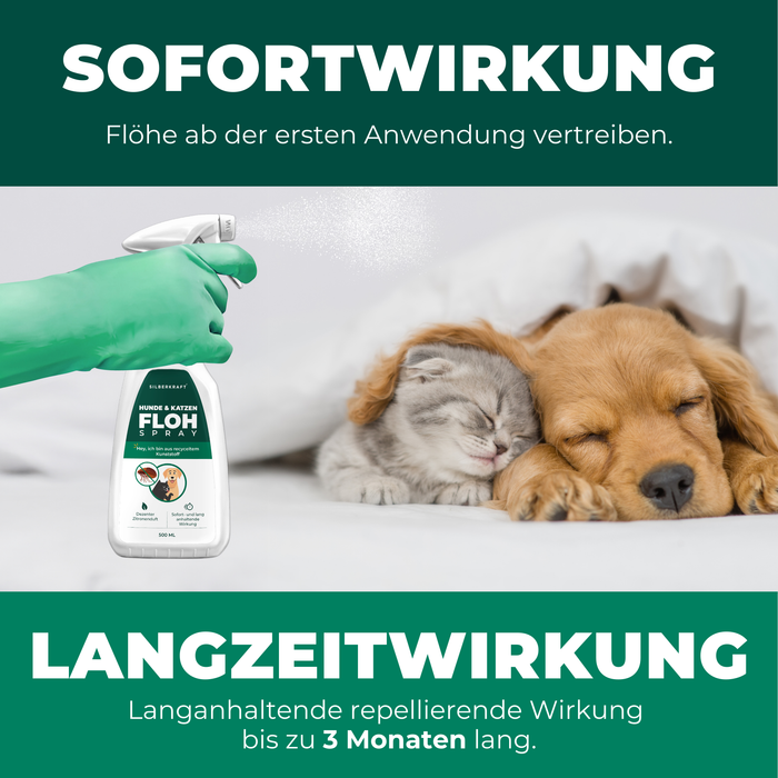 Silberkraft Flohspray aufgetragen auf das Fell eines Hundes, mit Text, der die Wirksamkeit gegen verschiedene Floharten hervorhebt.