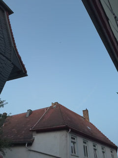 Mauersegler - Oberursel