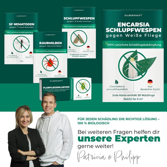 Die Experten Patricia und Philipp stehen vor verschiedenen Nützlingsprodukten. 