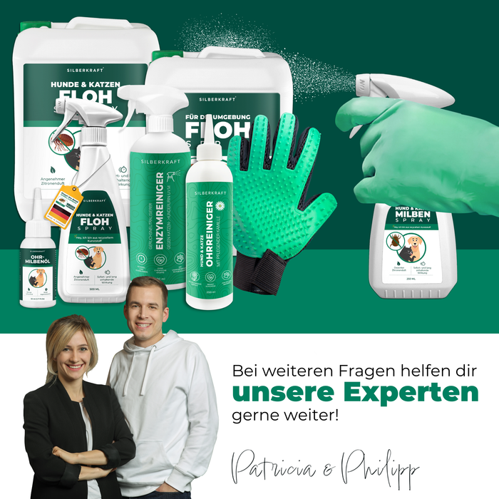 Silberkraft Produkte für Floh- und Milbenabwehr bei Haustieren: Eine Auswahl an Pflege- und Schutzprodukten, darunter Floh- und Milbensprays, Enzymreiniger, Ohrenreiniger und eine Fellpflege-Handschuhbürste. Ein Handschuh sprüht Milbenspray auf eine Oberfläche. Experten Patricia & Philipp stehen für Fragen zur Verfügung.
