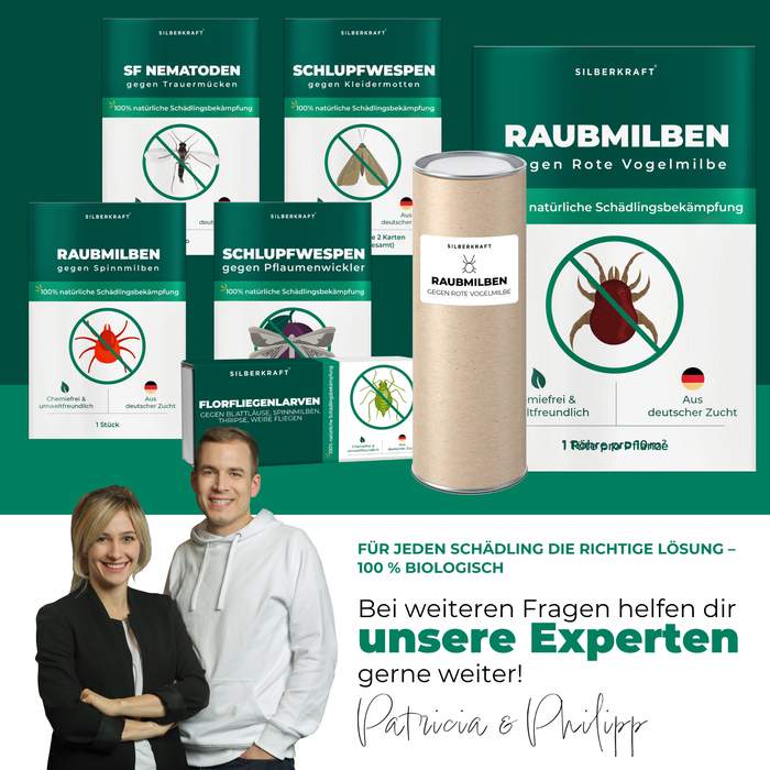 Raubmilben gegen Rote Vogelmilben