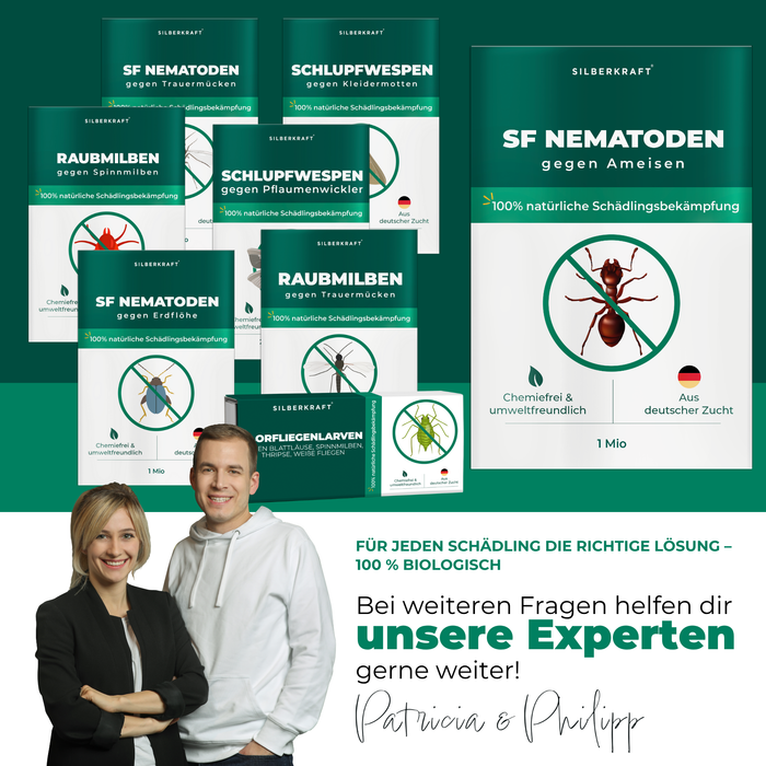 SF Nematoden gegen Ameisen