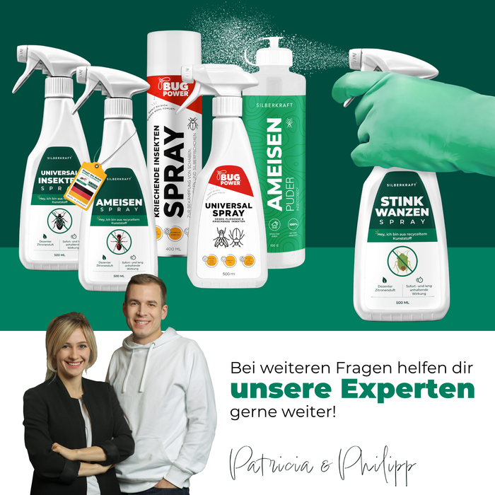 Silberkraft Stinkwanzenspray zusammen mit anderen Produkten zur Insektenbekämpfung, umgeben von Text, der die verschiedenen Anwendungsmöglichkeiten aufzeigt.