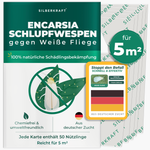 Verpackung von Schlupfwespen gegen Weiße Fliegen mit einer Weißen Fliege auf einem Blatt. 