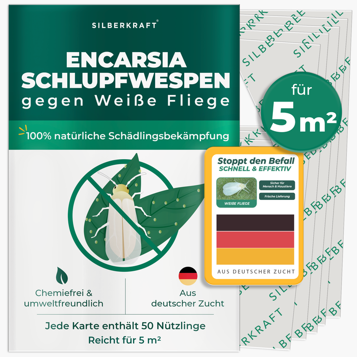 Verpackung von Schlupfwespen gegen Weiße Fliegen mit einer Weißen Fliege auf einem Blatt. 