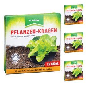 Zuverlässiger Pflanzen-Kragen: Insektizidfreie Bekämpfung der Kohlfliege - Silberkraft