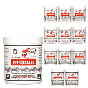 Actimed Pferdesalbe mit Arnika: Erfrischende Pflege für beanspruchte Pferdemuskeln - Silberkraft