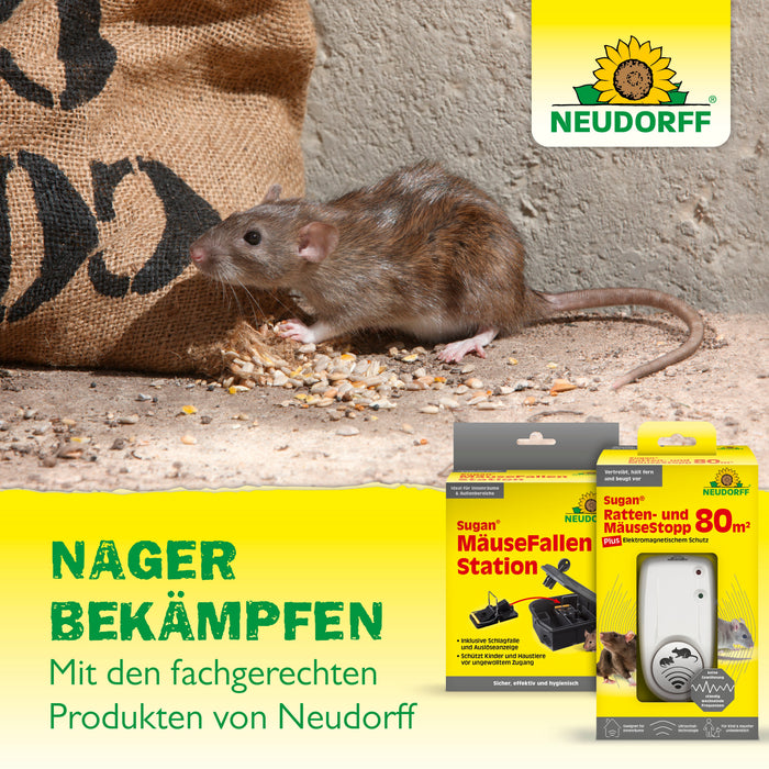 Neudorff Sugan RattenKöder Pad