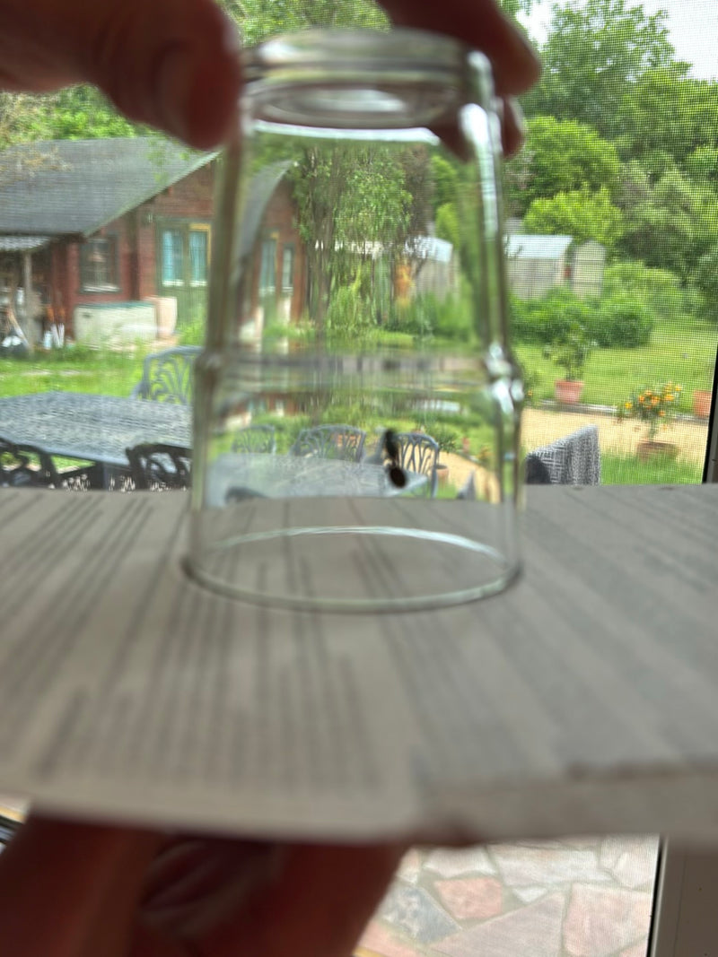 Ameisen — Bild 5