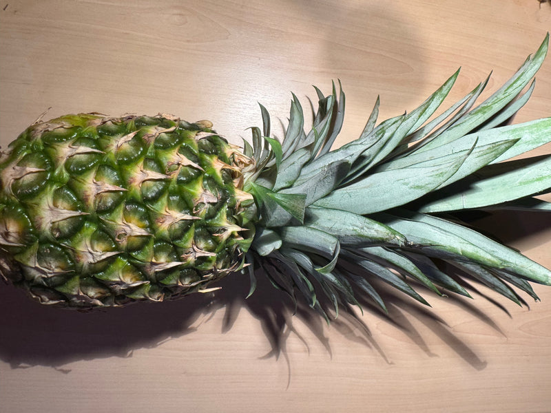 Ananas — Bild 3 von 11