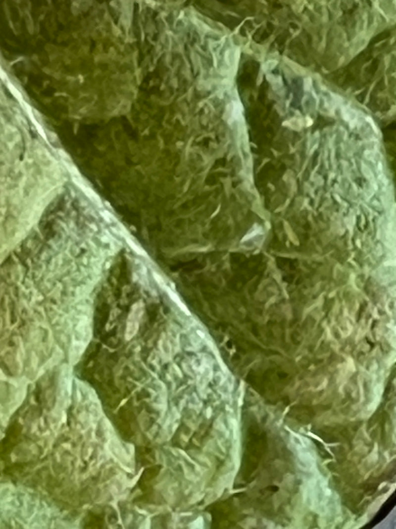 Physalis — Bild 3