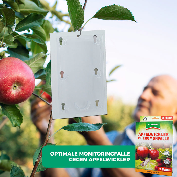 Apfelwickler Pheromonfalle: Effektiver Schutz für Obstbäume