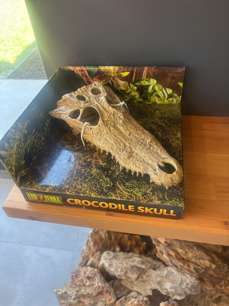 Australisches Süßwasserkrokodil — Bild 5