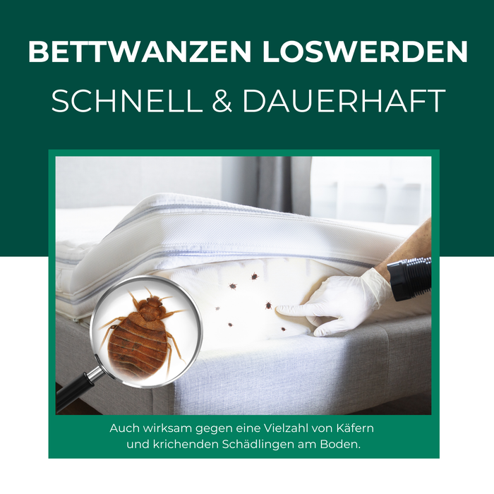 Bettwanzenbefall an der Matratze – Einsatz von Bettwanzenfalle zur Überwachung und Eindämmung