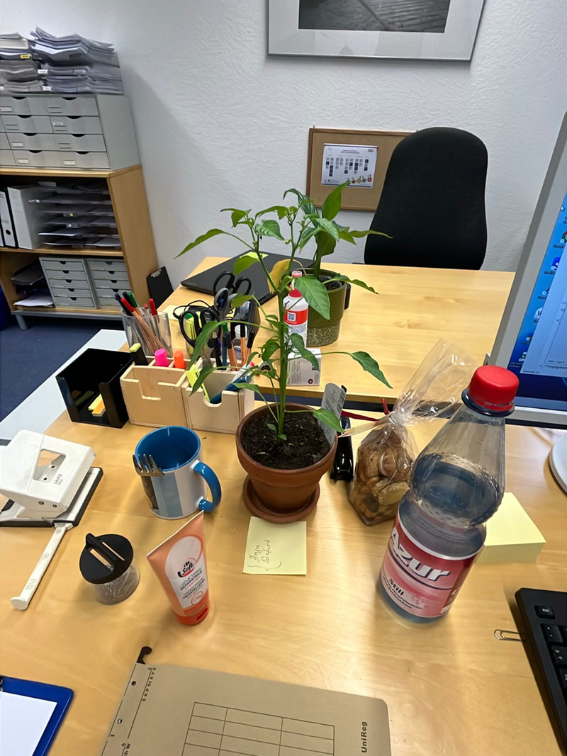 Peperoni — Bild 5