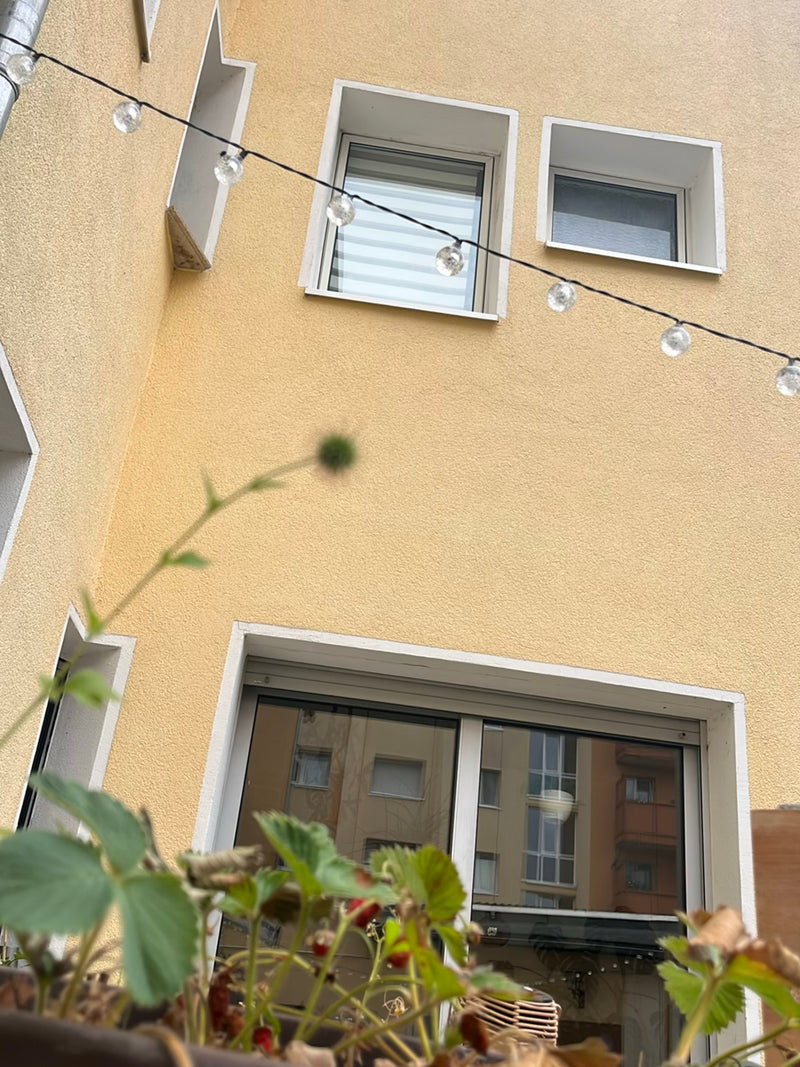 Echte Nelkenwurz — Bild 5