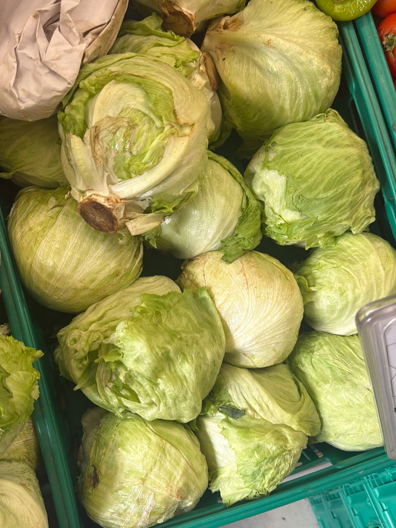 Kopfsalat — Bild 2
