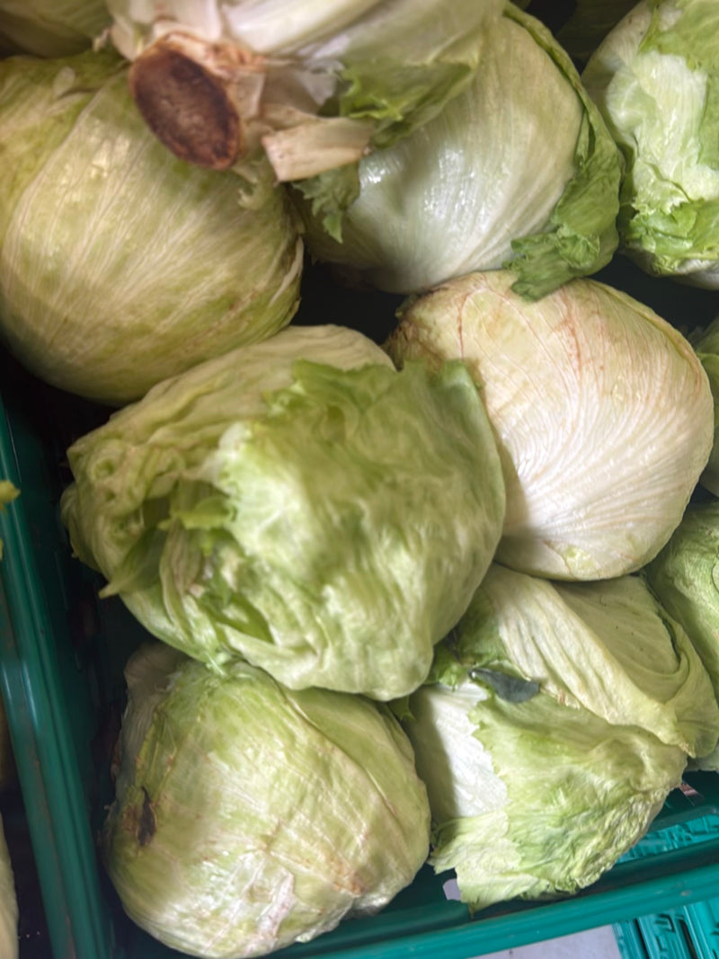 Kopfsalat — Bild 1