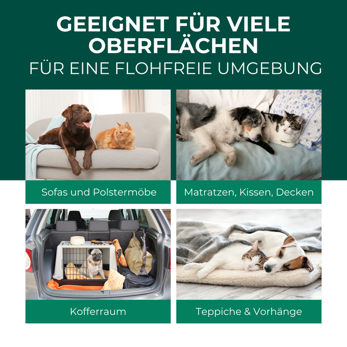 Zeigt wo das Silberkraft Flohspray Umgebung angewendet werden kann auf Sofas, Matratzen, im Kofferraum und Textilien