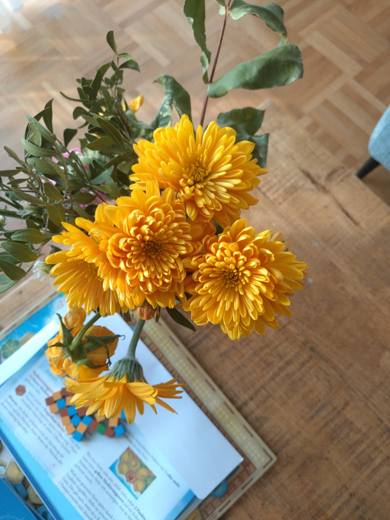 Garten-Chrysantheme — Bild 3