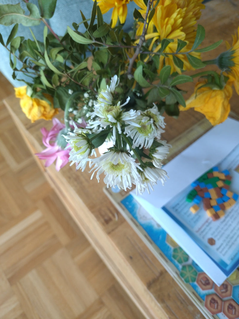 Garten-Chrysantheme — Bild 5