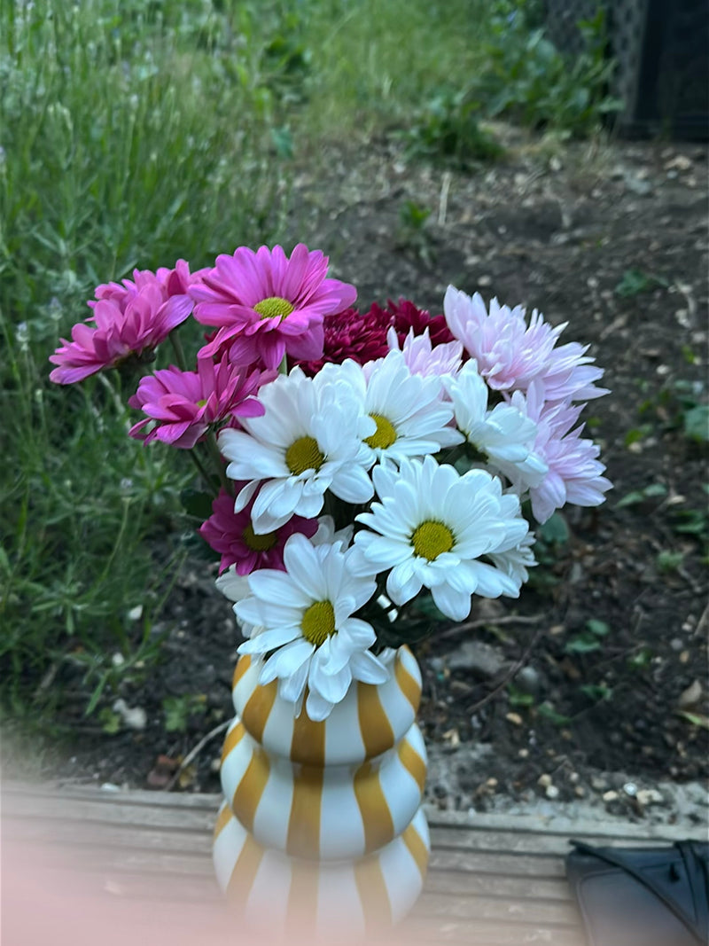 Garten-Chrysantheme — Bild 2