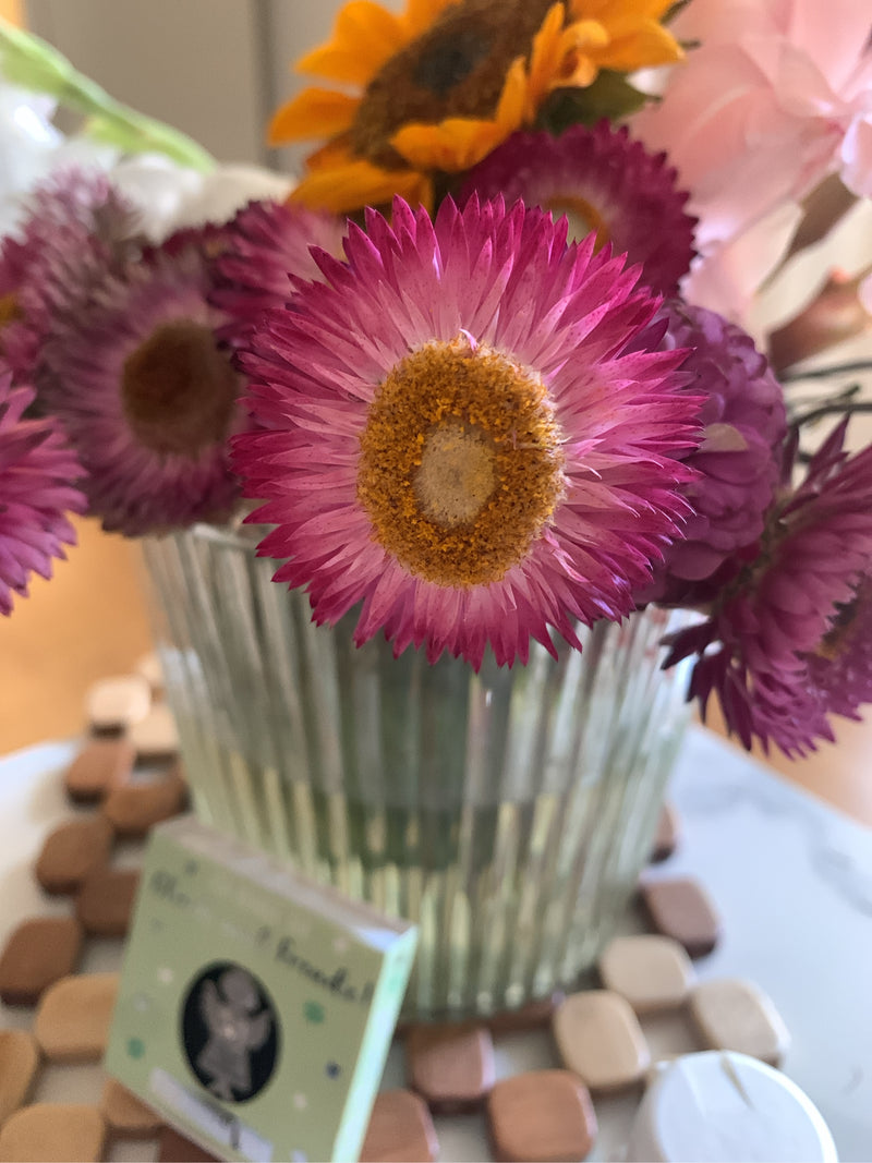 Garten-Strohblume — Bild 1