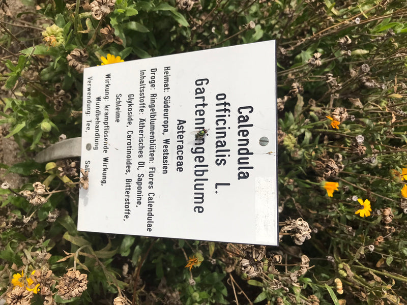 Gelbes Schmuckkörbchen — Bild 2 von 5