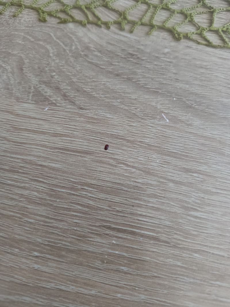 Flachs — Bild 2