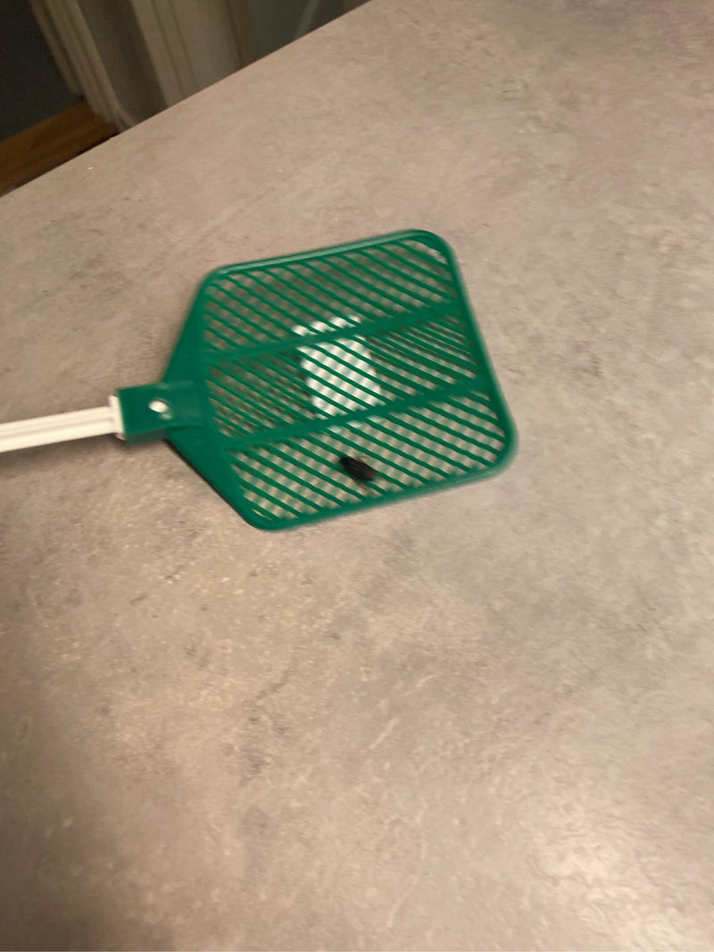Gemeiner Schnellläufer — Bild 4