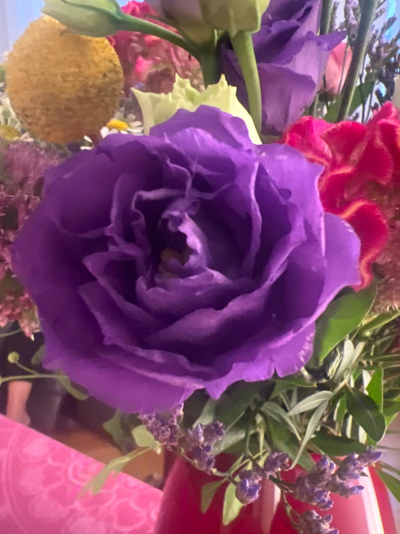 Japanrose (Lisianthus) — Bild 2 von 3