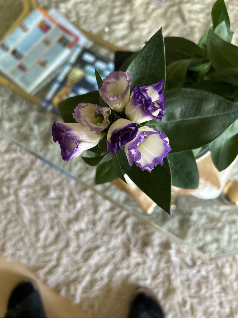Japanrose (Lisianthus) — Bild 3 von 3