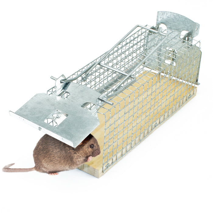 Piège vivant pour souris en fil de fer - Piège à souris - Alternative respectueuse des animaux aux pièges à pression et aux appâts empoisonnés