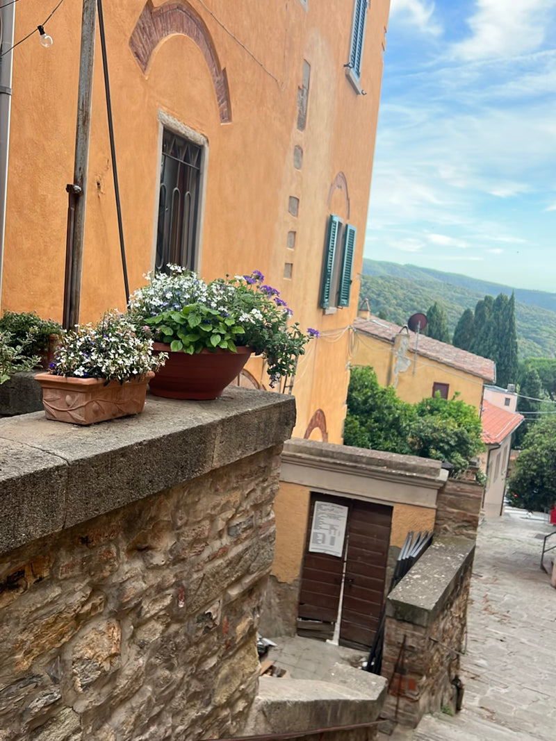 Maennertreu — Bild 1