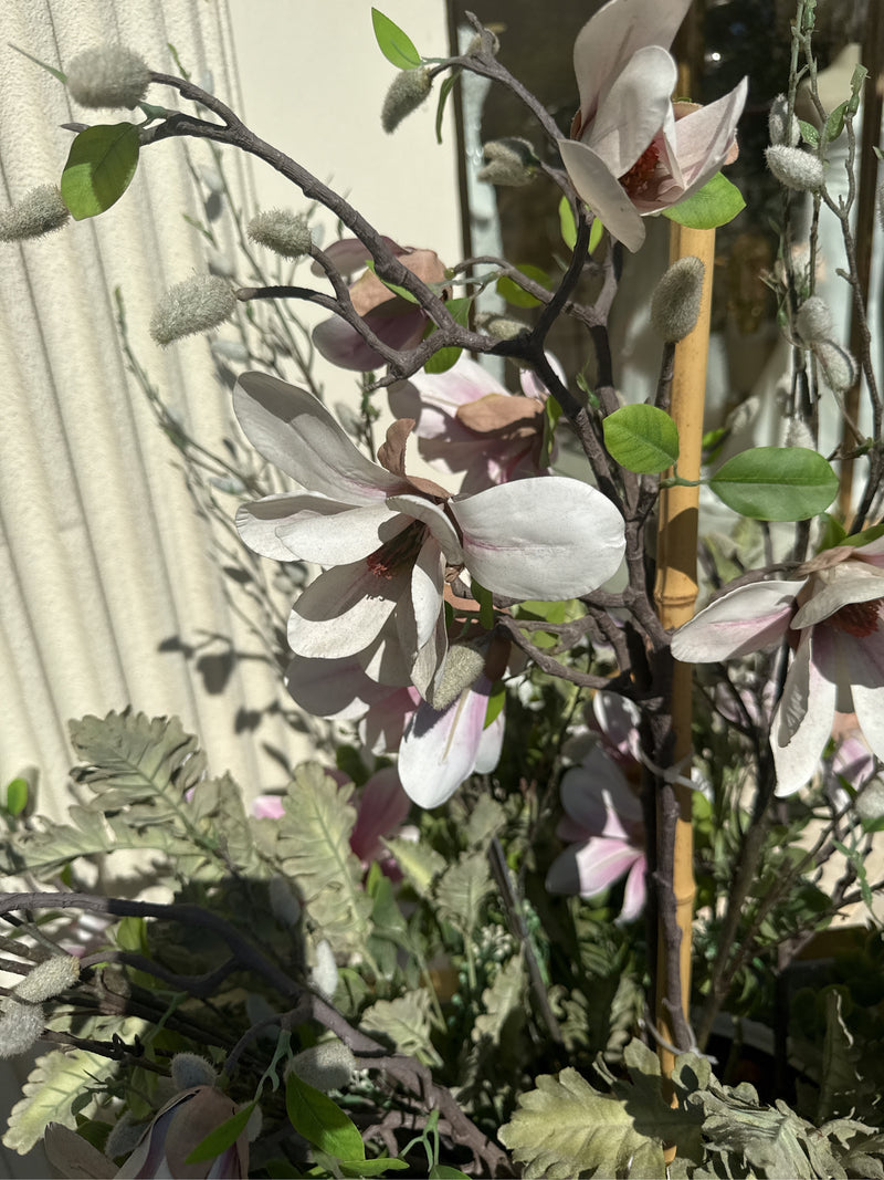 Magnolie — Bild 1