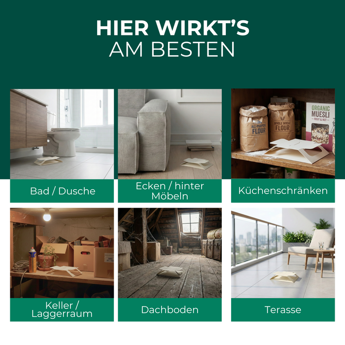 Empfohlene Einsatzorte für Papierfisch Fallen wie Bad, Küche, Keller, Dachboden und hinter Möbeln