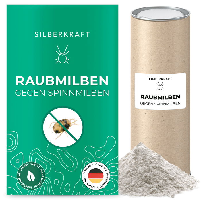 Raubmilben gegen Spinnmilben an Grünpflanzen