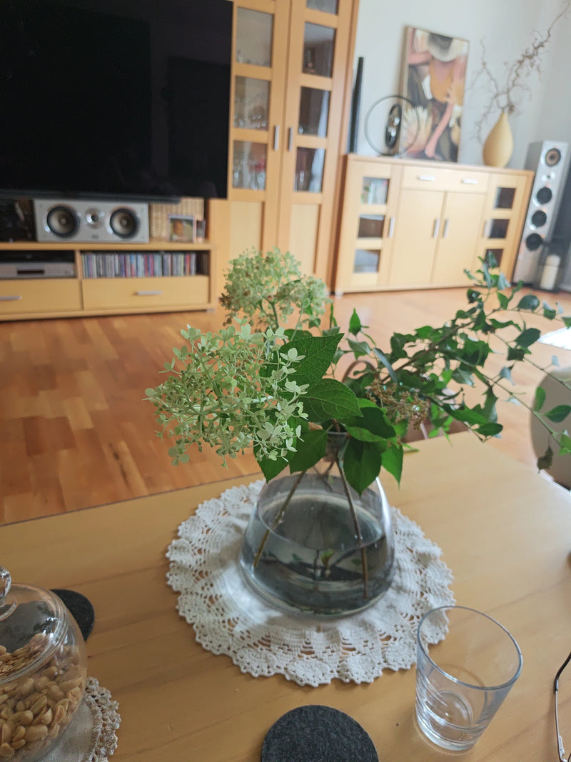 Rispen-Hortensie — Bild 4
