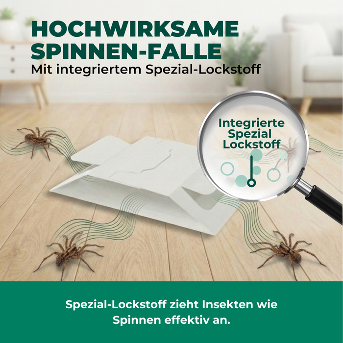 Spinnenfalle mit integriertem Spezial-Lockstoff – gezielte Anlockung von Spinnen ohne Insektizide