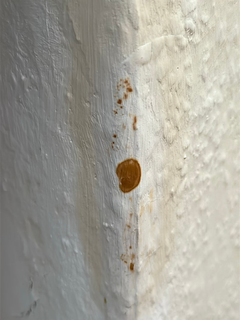 Gießkannenschimmel — Bild 2