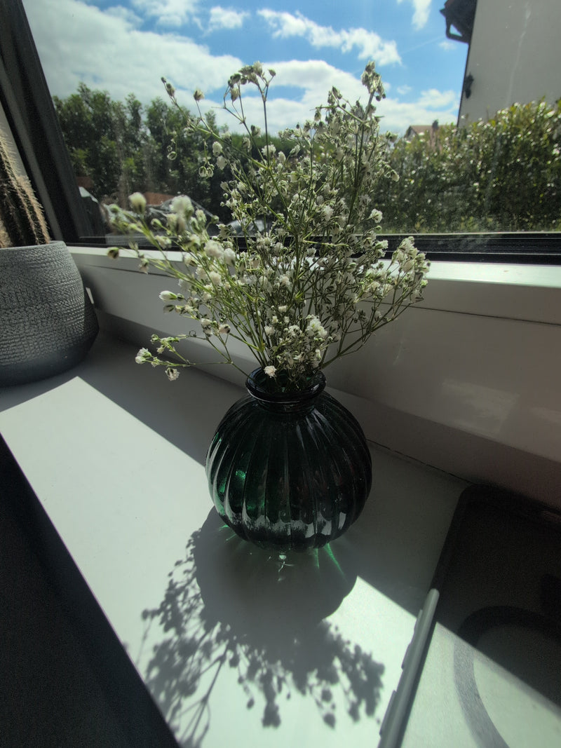 Schleierkraut — Bild 2